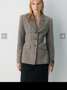 NWT Aritzia Babaton Standout Blazer